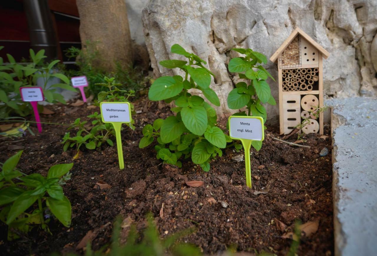 Vintage Garden Apartment Pula Luaran gambar
